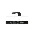 CINGHIA H7 1985 POLY-V LAVATRICE UNIVERSALE