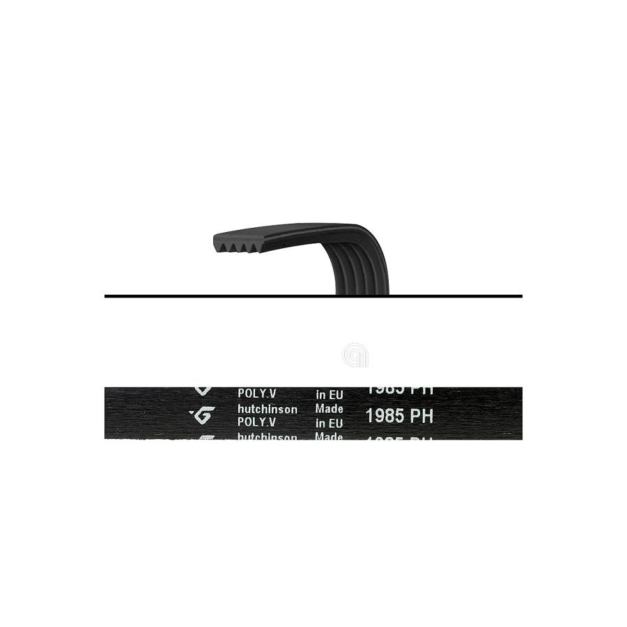 CINGHIA H7 1985 POLY-V LAVATRICE UNIVERSALE