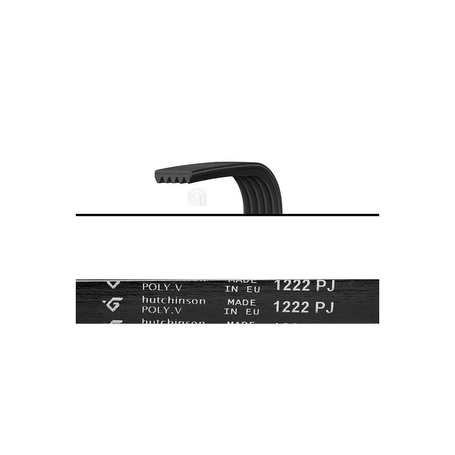 CINGHIA J5 1222 POLY-V LAVATRICE UNIVERSALE