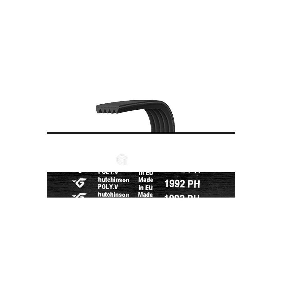 CINGHIA H7 1992 POLY-V ASCIUGATRICE BAUKNECHT
