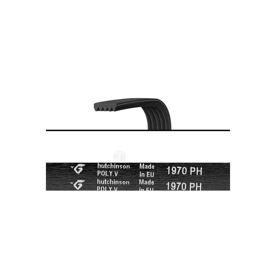 CINGHIA H7 1970 POLY-V LAVATRICE UNIVERSALE