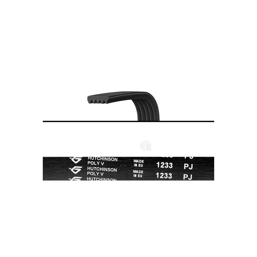 CINGHIA J5 1233 POLY-V LAVATRICE UNIVERSALE