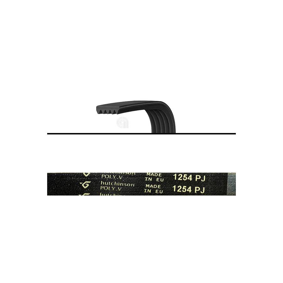 CINGHIA J5 1254 POLY-V LAVATRICE UNIVERSALE