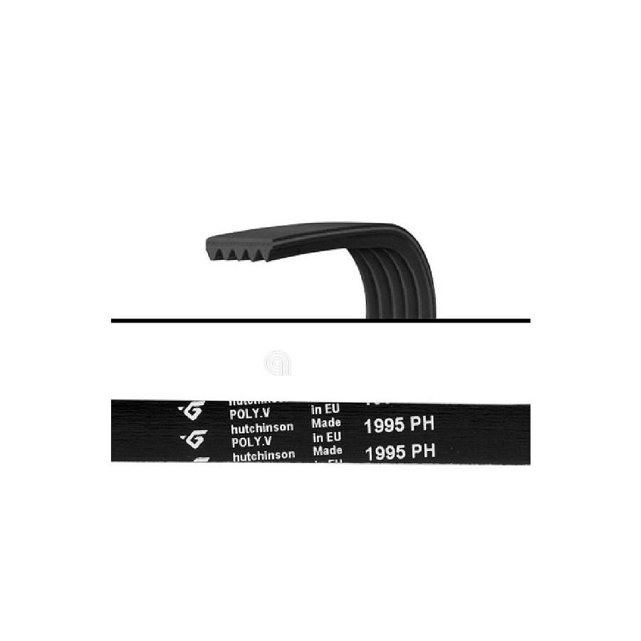 CINGHIA H8 1995 POLY-V LAVATRICE UNIVERSALE