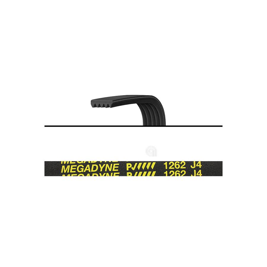 CINGHIA J4 1262 POLY-V LAVATRICE WHIRLPOOL