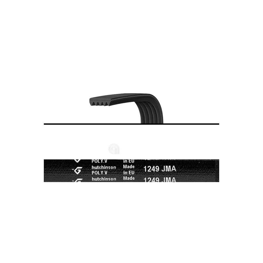 CINGHIA J5 1249 POLY-V LAVATRICE UNIVERSALE