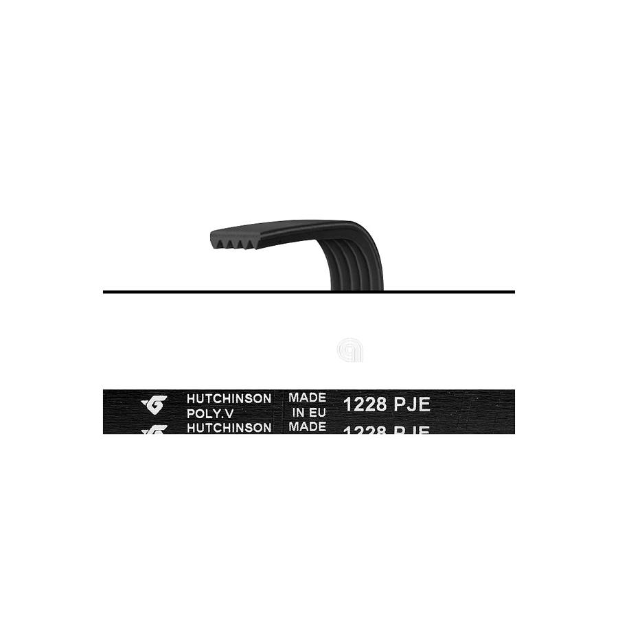 CINGHIA J5 1228 POLY-V LAVATRICE UNIVERSALE