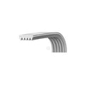 CINGHIA J5 1173 POLY-V LAVATRICE LG