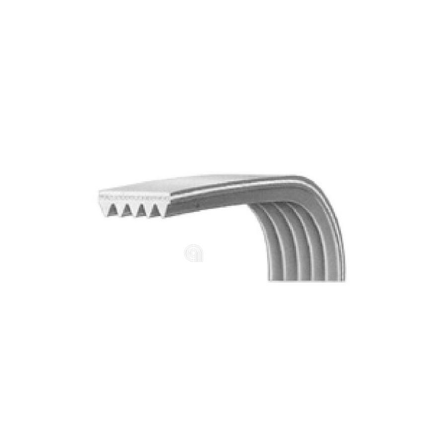 CINGHIA J6 1208 LAVATRICE WHIRLPOOL