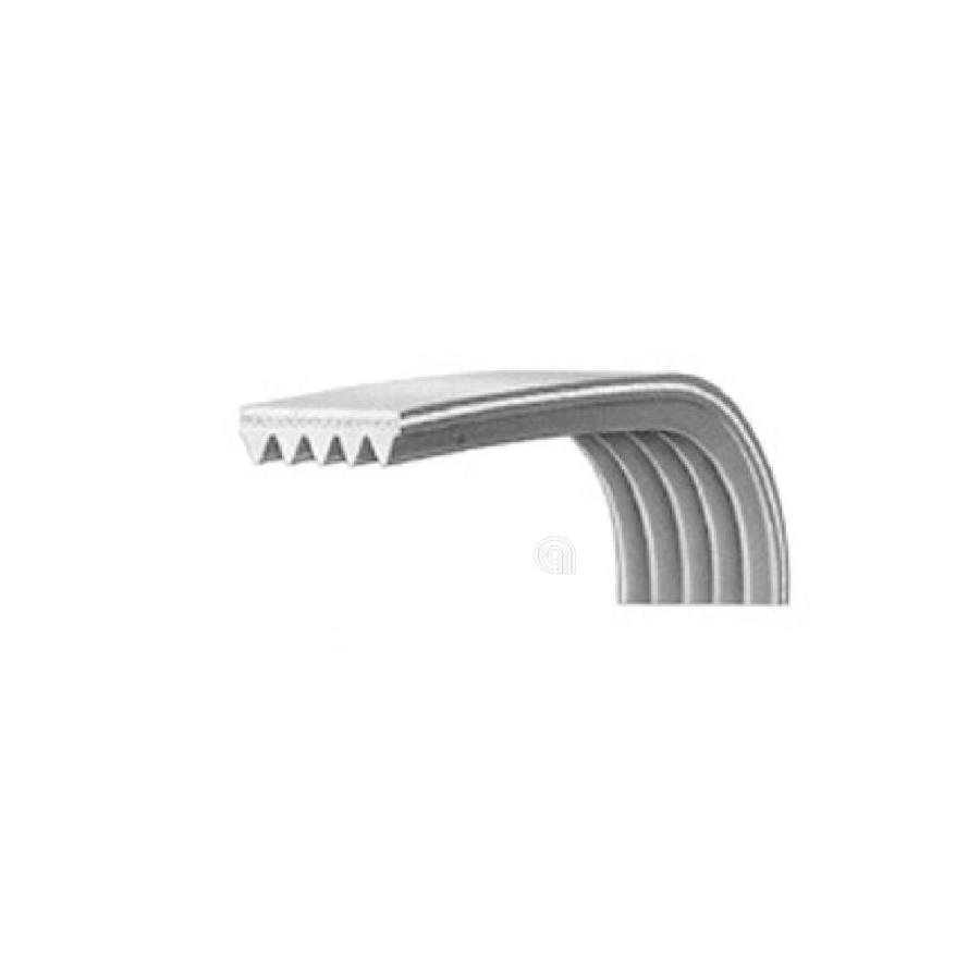 CINGHIA J5 1244 POLY-V LAVATRICE BEKO