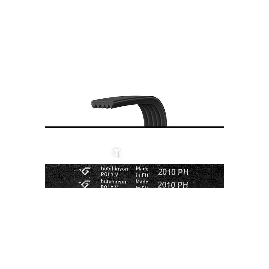 CINGHIA H7 2010 POLY-V ASCIUGATRICE WHIRLPOOL