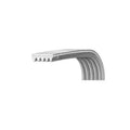 CINGHIA J4 1276 POLY-V LAVATRICE BEKO