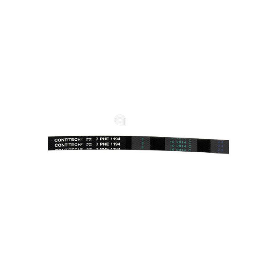 CINGHIA H7 1194 POLY-V LAVATRICE IT-WASH immagine 2