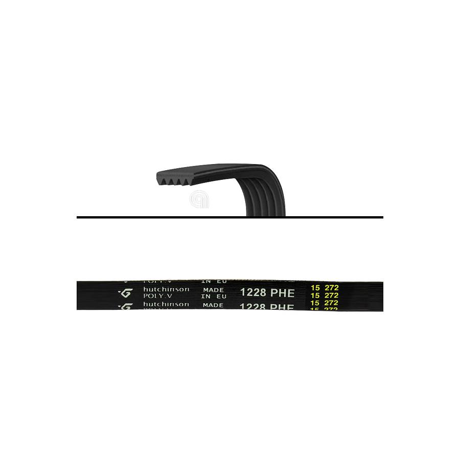 CINGHIA H7 1228 POLY-V LAVATRICE VESTEL