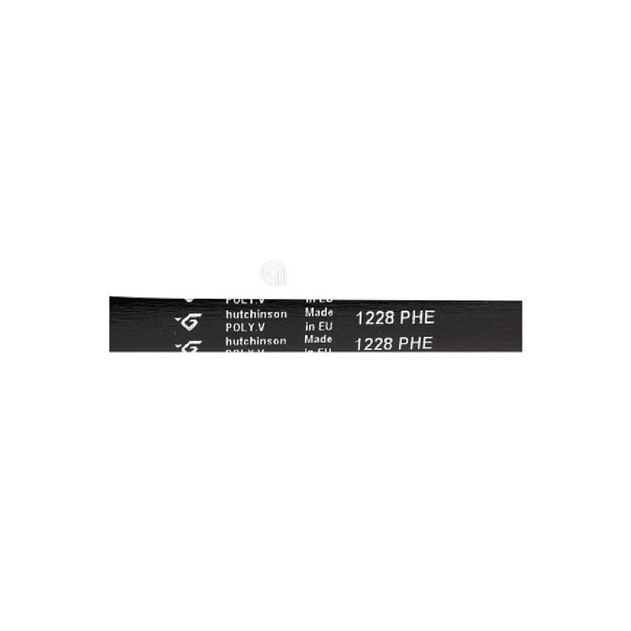 CINGHIA H8 1228 POLY-V LAVATRICE VESTEL immagine 2