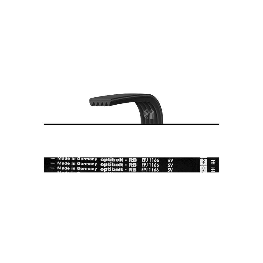 CINGHIA J5 1166 POLY-V LAVATRICE ATLANT