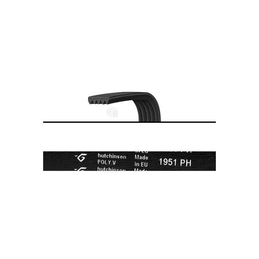 CINGHIA H6 1951 POLY-V ASCIUGATRICE CANDY
