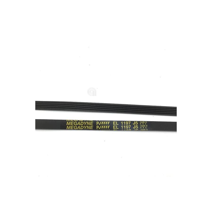 CINGHIA J5 1197 POLY-V LAVATRICE UNIVERSALE